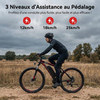 VTT électrique REVO Ridge 65 – 250 W – Jusqu'à 65 km d'autonomie – Batterie amovible 13 Ah – 21 vitesses – Pneus 26"