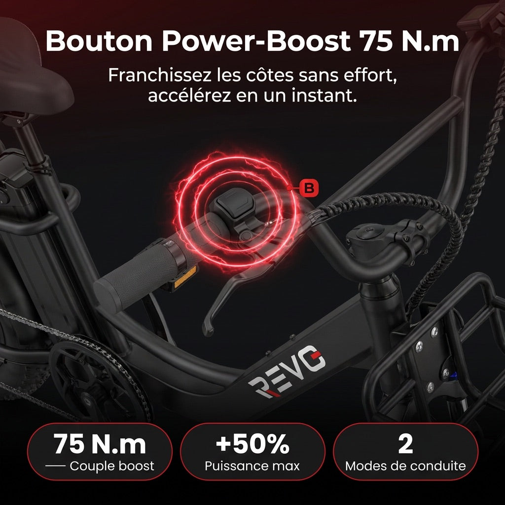 Electric Fat Bike REVO Terra Boost – 250 W – Range up to 126 km – 48 V 13 Ah Battery – 75 Nm Torque – 20 x 4 Tires