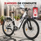 Electric Bike REVO Citya - 250 W - 80 km Range - 36 V 10 Ah Battery - 26" - Basket & Luggage Rack