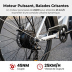 Vélo Électrique REVO CityFlow – 250 W – Autonomie 90 km – Batterie 561,6 Wh – Shimano 7 Vitesses – Roues 26 pouces