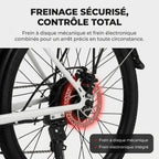 Vélo Électrique REVO CityFlow – 250 W – Autonomie 90 km – Batterie 561,6 Wh – Shimano 7 Vitesses – Roues 26 pouces