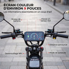 Draisienne Électrique REVO Drivon 1500 – Jusqu’à 1500 W – Autonomie jusqu’à 72 km – Batterie 48 V 15,6 Ah – NFC & Freins Hydrauliques